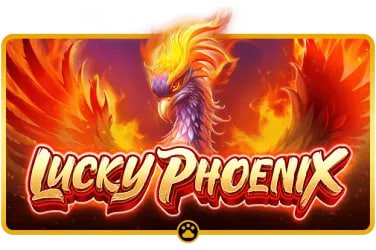 lucky 907 Crash Games